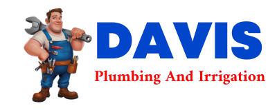 Trusted plumber in DE SOTO